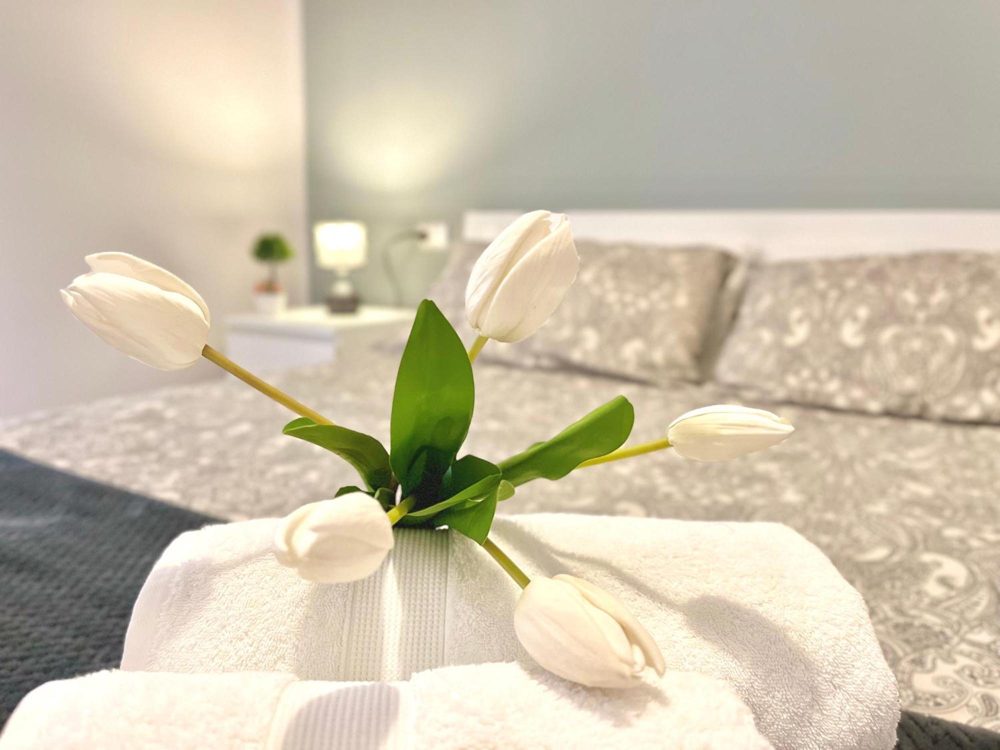 Archivio 32 Neapolitan Apartment المظهر الخارجي الصورة